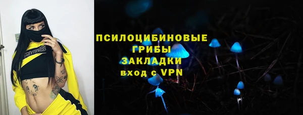 ПСИЛОЦИБИНОВЫЕ ГРИБЫ Липки