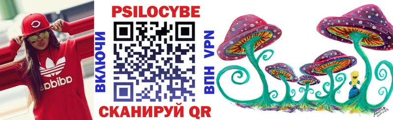 hydra как зайти  Евпатория  Галлюциногенные грибы GOLDEN TEACHER  наркотики 